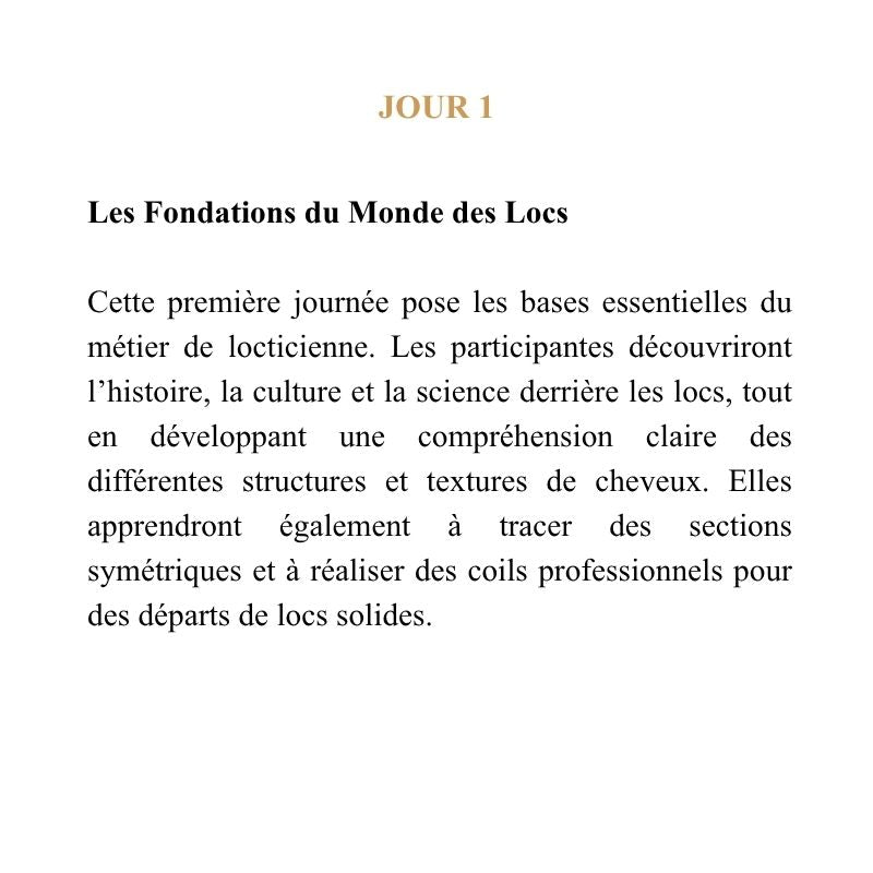 Hands-on microlocs and locs bootcamp in Montreal showing professional techniques for installing and maintaining locs | Shop L'ABC Des Locs